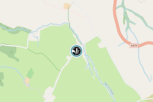 Trewalkin Meadow
