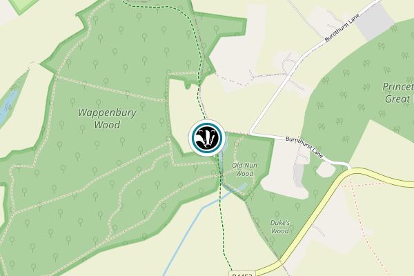 Old Nun Wood