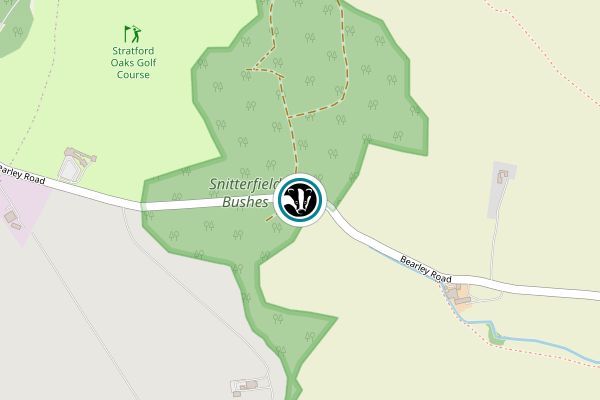 Snitterfield Bushes