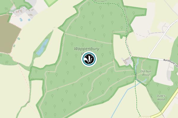 Wappenbury Wood