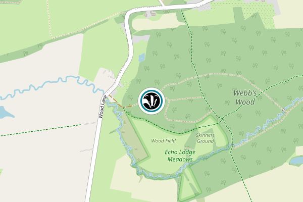 Echo Lodge Meadows