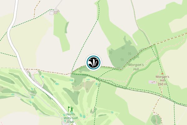 Morgan's Hill