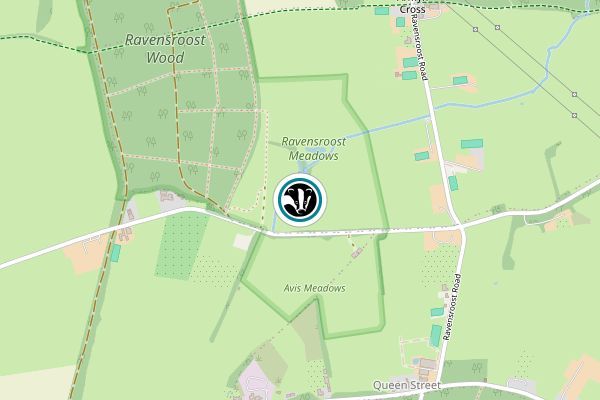 Ravensroost Wood