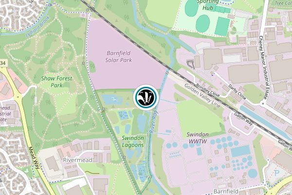 Swindon Lagoons