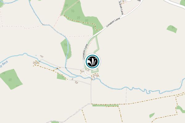 Burton Leonard Lime Quarries