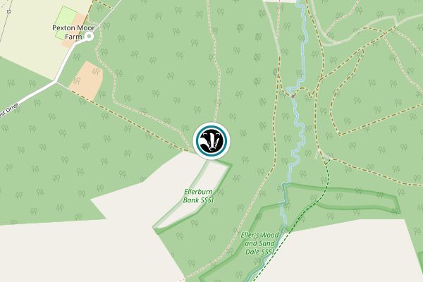 Ellerburn Bank Nature Reserve