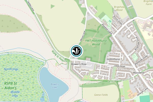 Hollinhurst Wood Nature Reserve