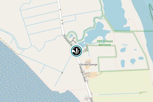 Kilnsea Wetlands Nature Reserve
