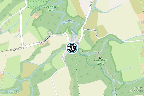 Little Beck Wood Nature Reserve