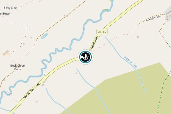 Newbiggin Pastures Nature Reserve