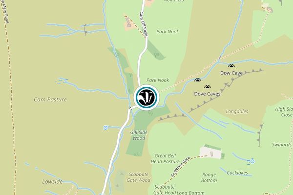 Park Gill nature reserve