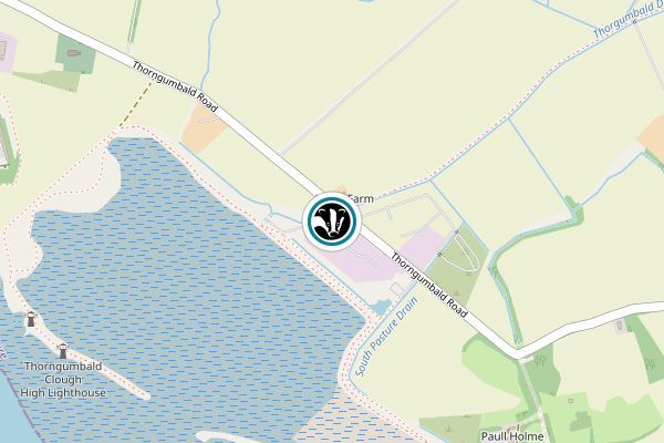 Paull Holme Strays Nature Reserve