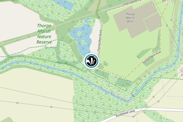 Thorpe Marsh Nature Reserve