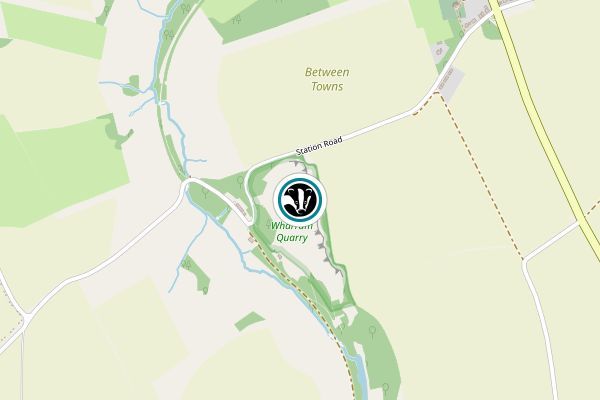 Wharram Quarry Nature Reserve